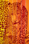 Leopard with a colorful abstract scarf on an orange background