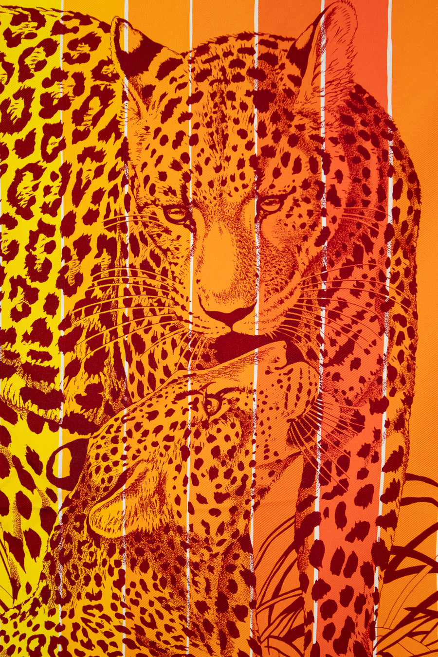 Leopard with a colorful abstract scarf on an orange background