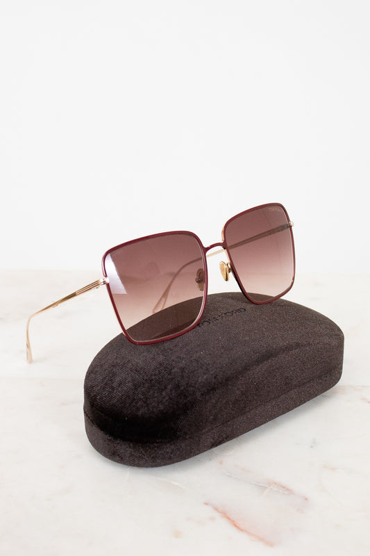 Sunglasses with a dark case on a light background
