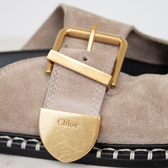 Close-up of a sandal with a gold buckle and 'Chloe' logo on a light background