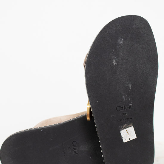 Black sole of a sandal with 'Chloe' branding on a white background