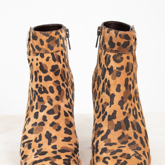 Pair of leopard print ankle boots on a white background