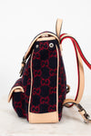 Backpack with red and black pattern on a light background