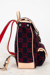 Backpack with red and black pattern on a light background