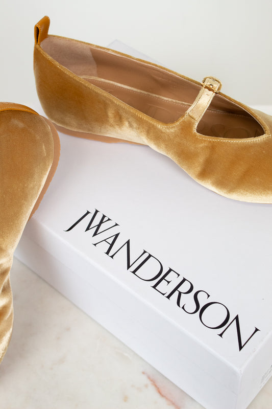 Gold velvet shoes on a white box with 'JW Anderson' branding.