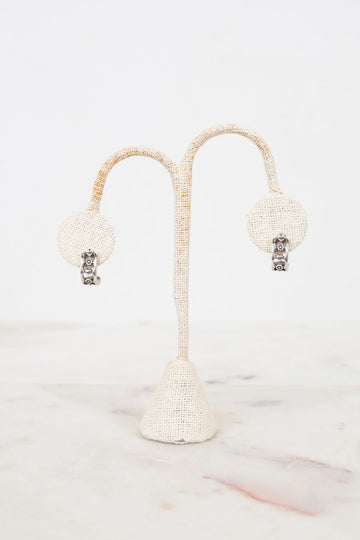 Pair of earrings on a decorative stand with a white background