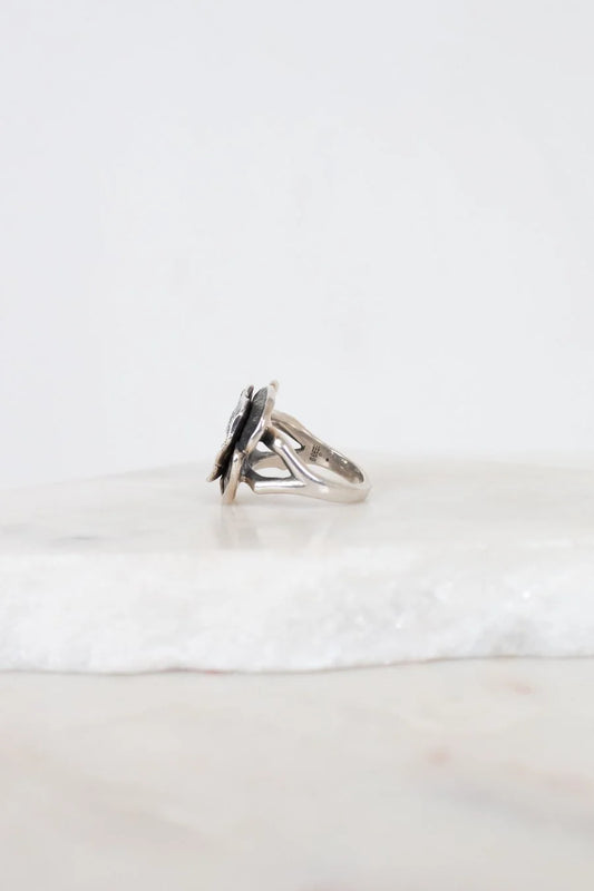 Side view of silver ring white background