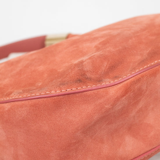 Close-up of a pink suede bag on a white background