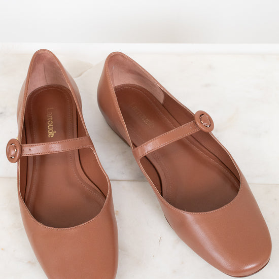 Pair of brown shoes with a strap on a white background