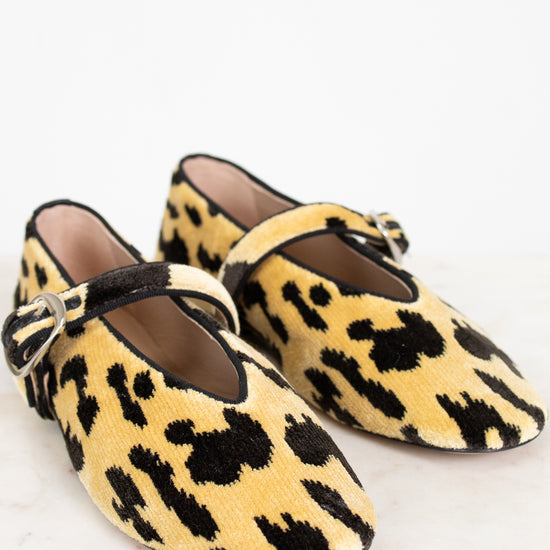 Pair of leopard print shoes on a white background