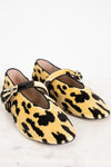 Pair of leopard print shoes on a white background