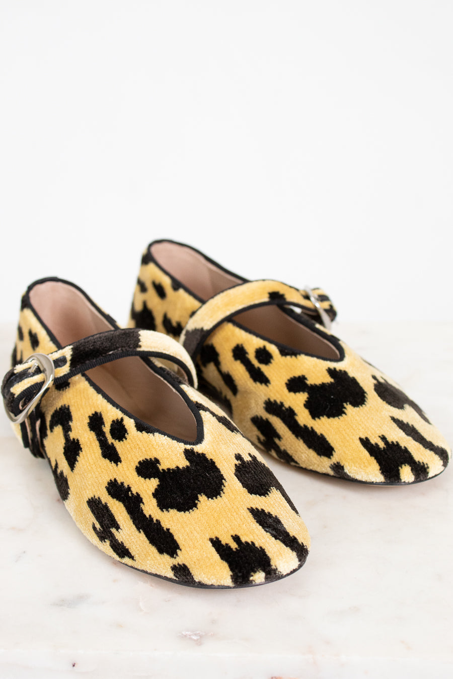 Pair of leopard print shoes on a white background