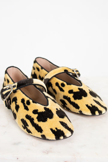 Pair of leopard print shoes on a white background