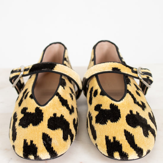 Pair of leopard print shoes on a white background