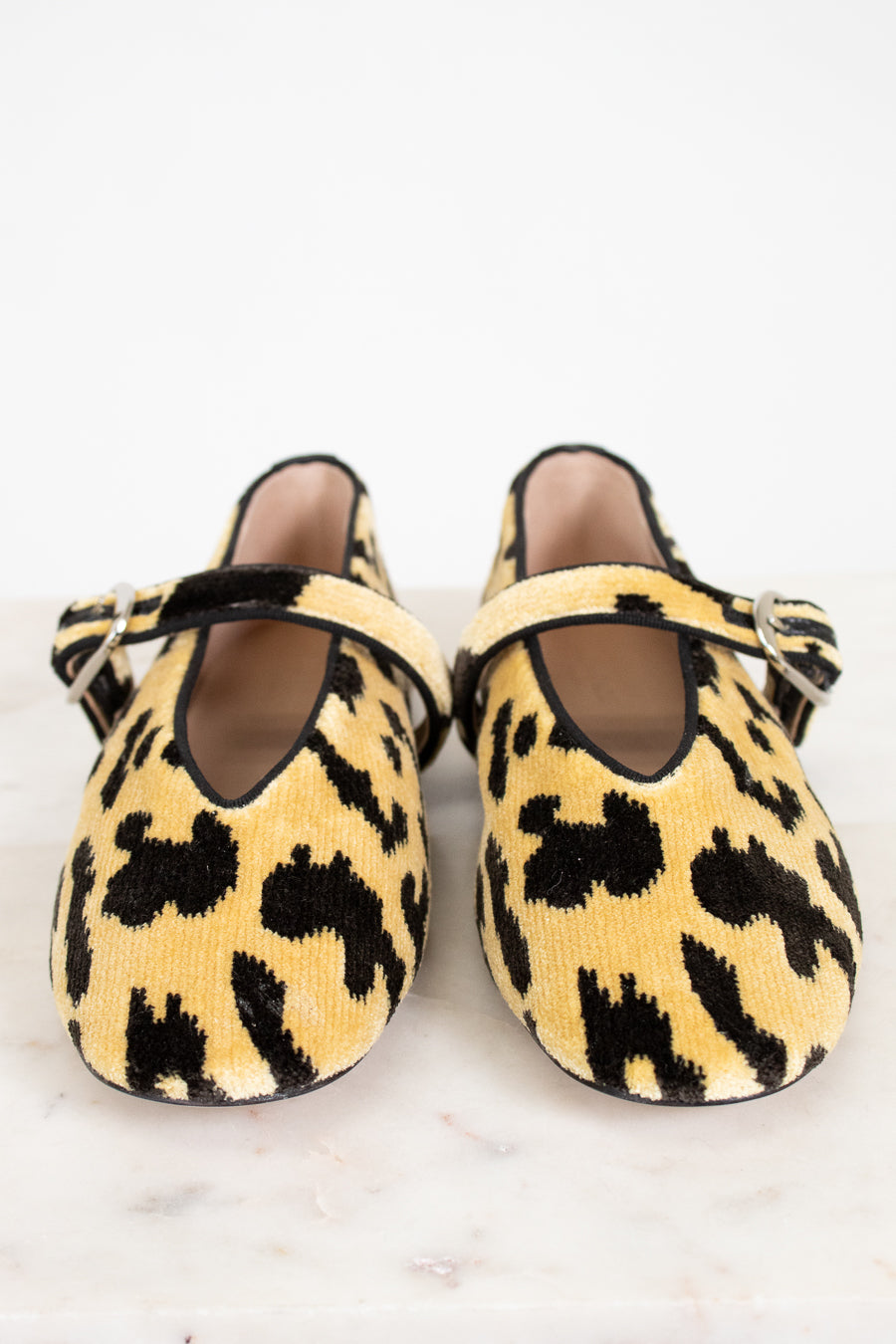 Pair of leopard print shoes on a white background