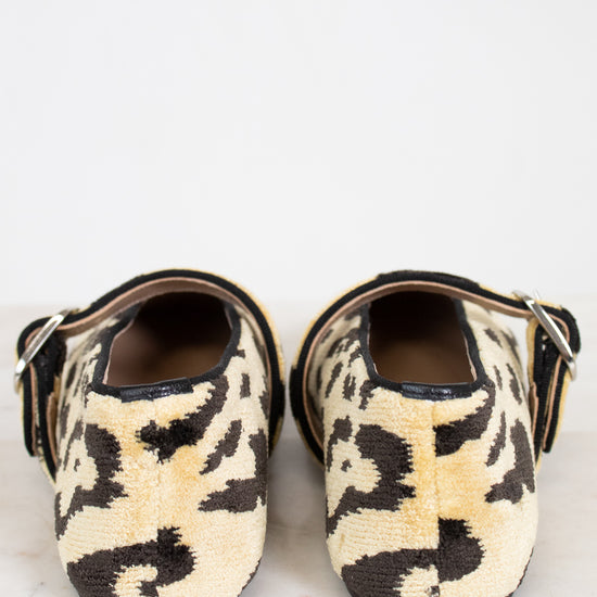 Pair of leopard print shoes on a white background