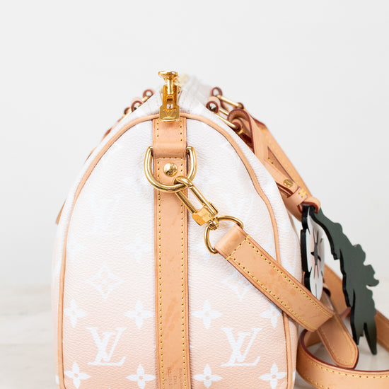 Louis Vuitton handbag with a strap on a white background