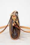 Brown handbag with gold chain and clasp on a light background