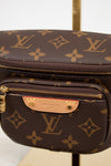 Louis Vuitton monogram handbag with gold zipper and hardware on a white background