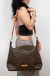 Person holding a brown monogram handbag against a white background