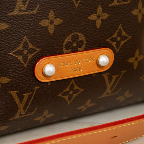 Close-up of a Louis Vuitton bag with monogram pattern and tan label.