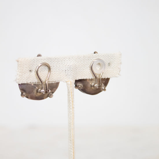 Pair of earrings on a white background
