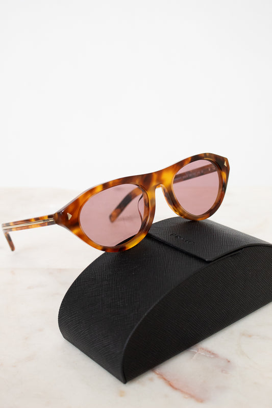 Tortoiseshell sunglasses with brown lenses on a black case against a white background