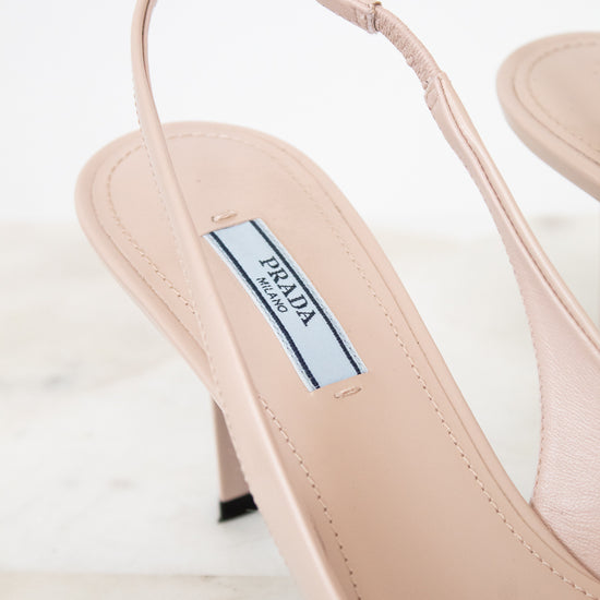 Close-up of a Prada heels on a light background