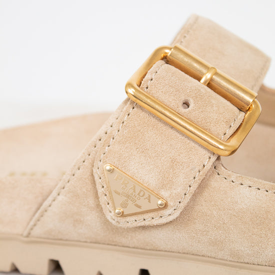 Beige suede sandals with gold buckle on a light background