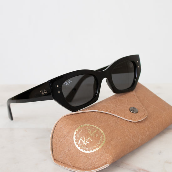 Black sunglasses with a brown case on a light background