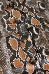 Close-up of a snake skin with brown and black pattern