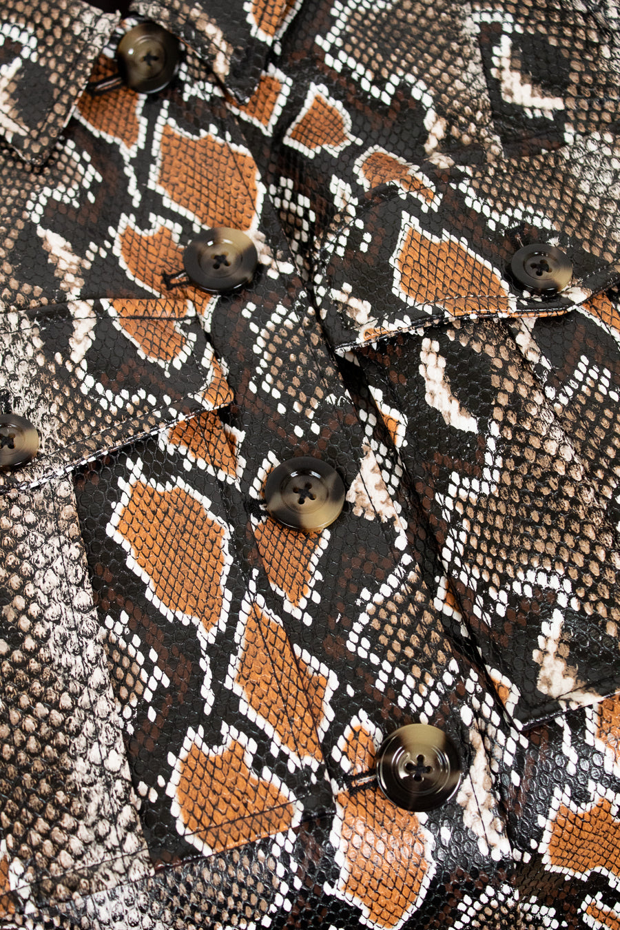 Close-up of a snake skin with brown and black pattern
